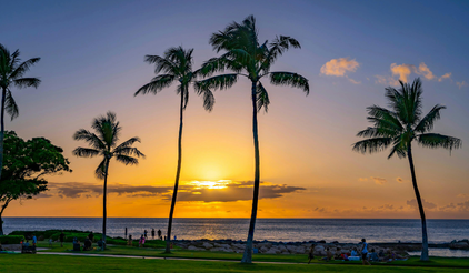 Discover West Palm Beach
